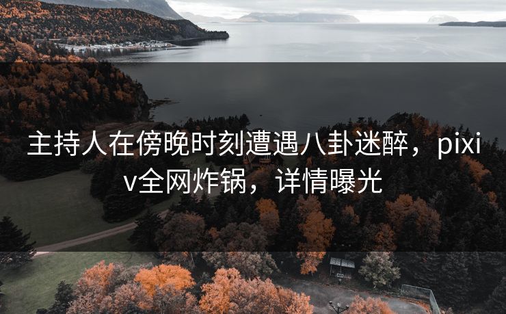 主持人在傍晚时刻遭遇八卦迷醉，pixiv全网炸锅，详情曝光