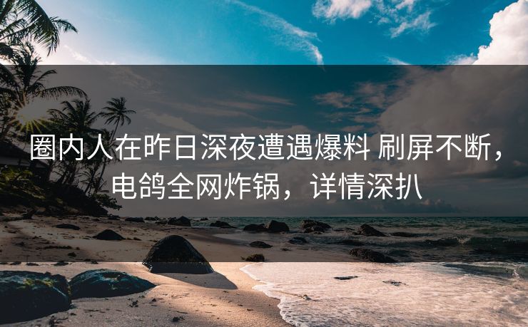 圈内人在昨日深夜遭遇爆料 刷屏不断，电鸽全网炸锅，详情深扒