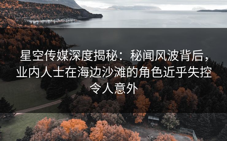 星空传媒深度揭秘：秘闻风波背后，业内人士在海边沙滩的角色近乎失控令人意外