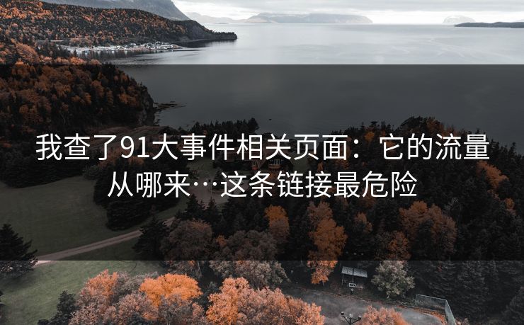 我查了91大事件相关页面：它的流量从哪来…这条链接最危险