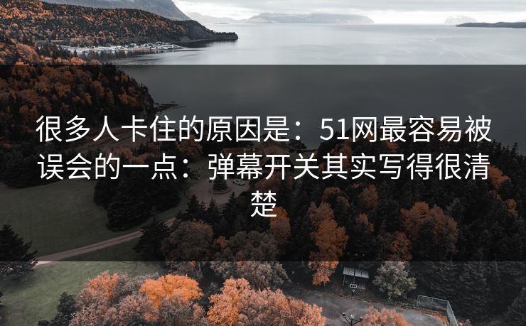 很多人卡住的原因是：51网最容易被误会的一点：弹幕开关其实写得很清楚