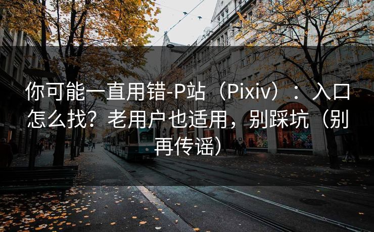 你可能一直用错-P站（Pixiv）：入口怎么找？老用户也适用，别踩坑（别再传谣）