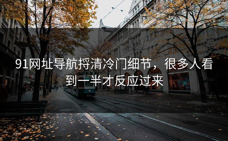 91网址导航捋清冷门细节，很多人看到一半才反应过来